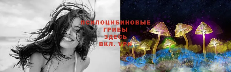 Псилоцибиновые грибы Magic Shrooms  маркетплейс как зайти  Беслан 